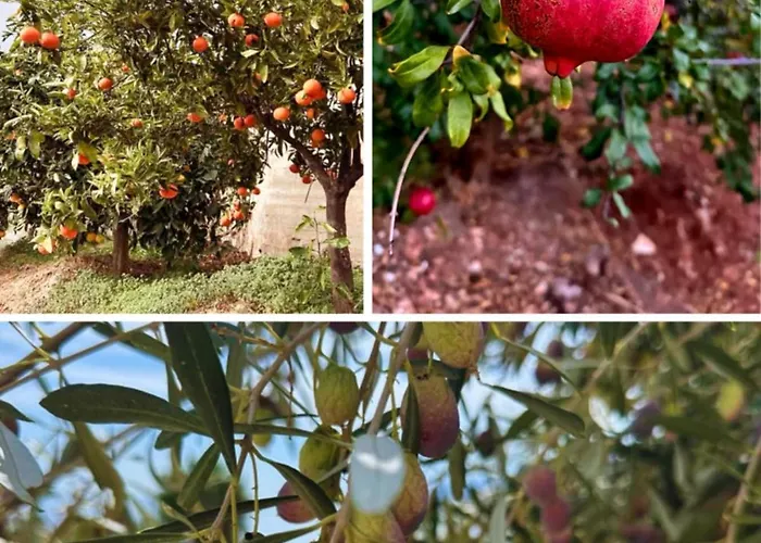 别墅 Merika Kivérion